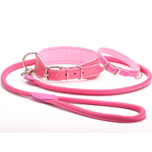 Pink matching dog harness and collar set.
